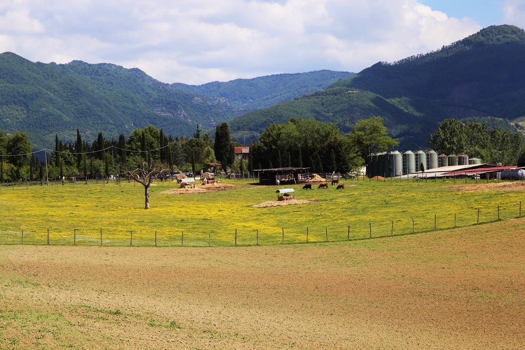 Agriturismo La Colombaia Villa Vicchio Exterior photo
